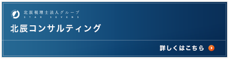 北辰コンサルティング